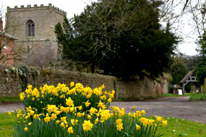 St David's Day Concert