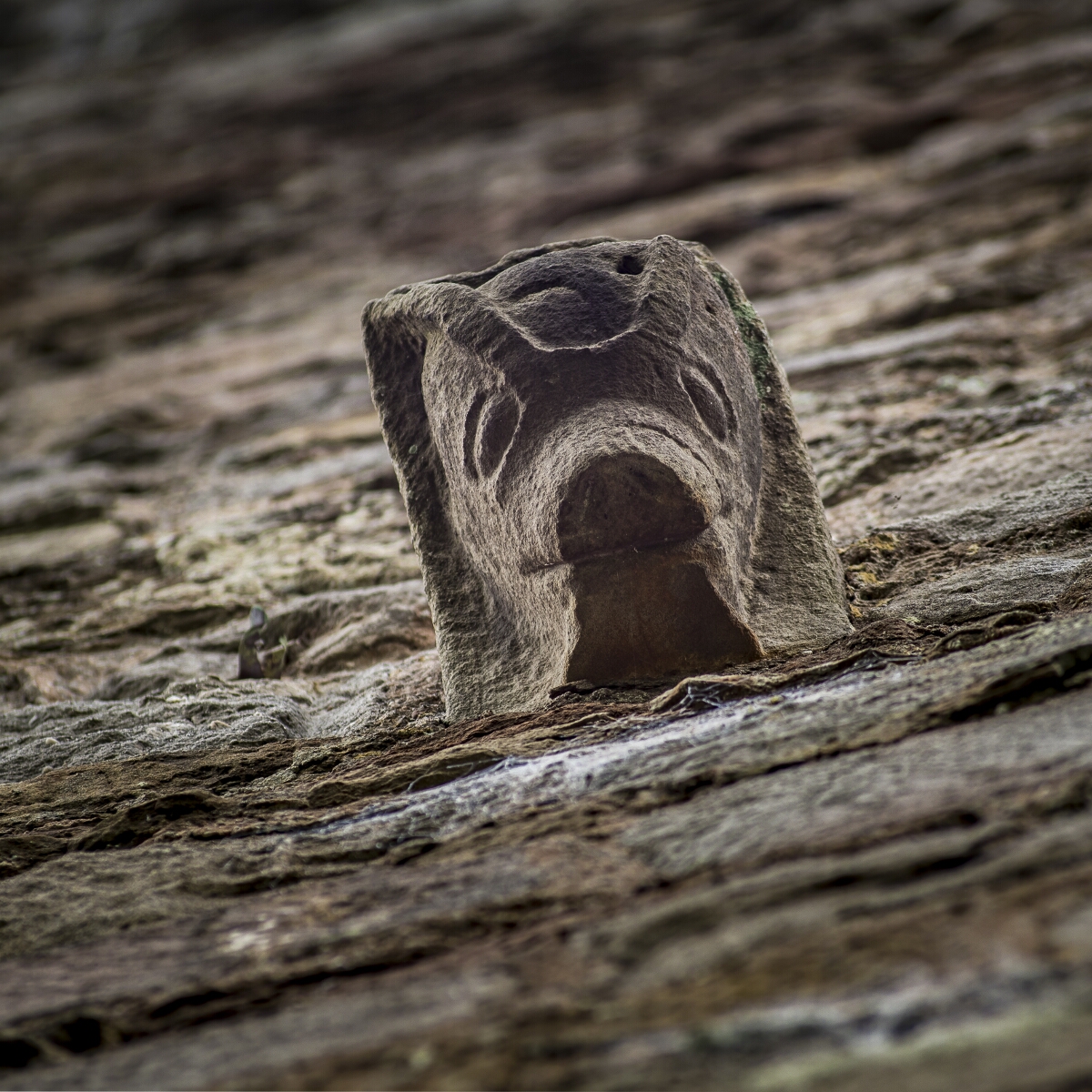 The corbels